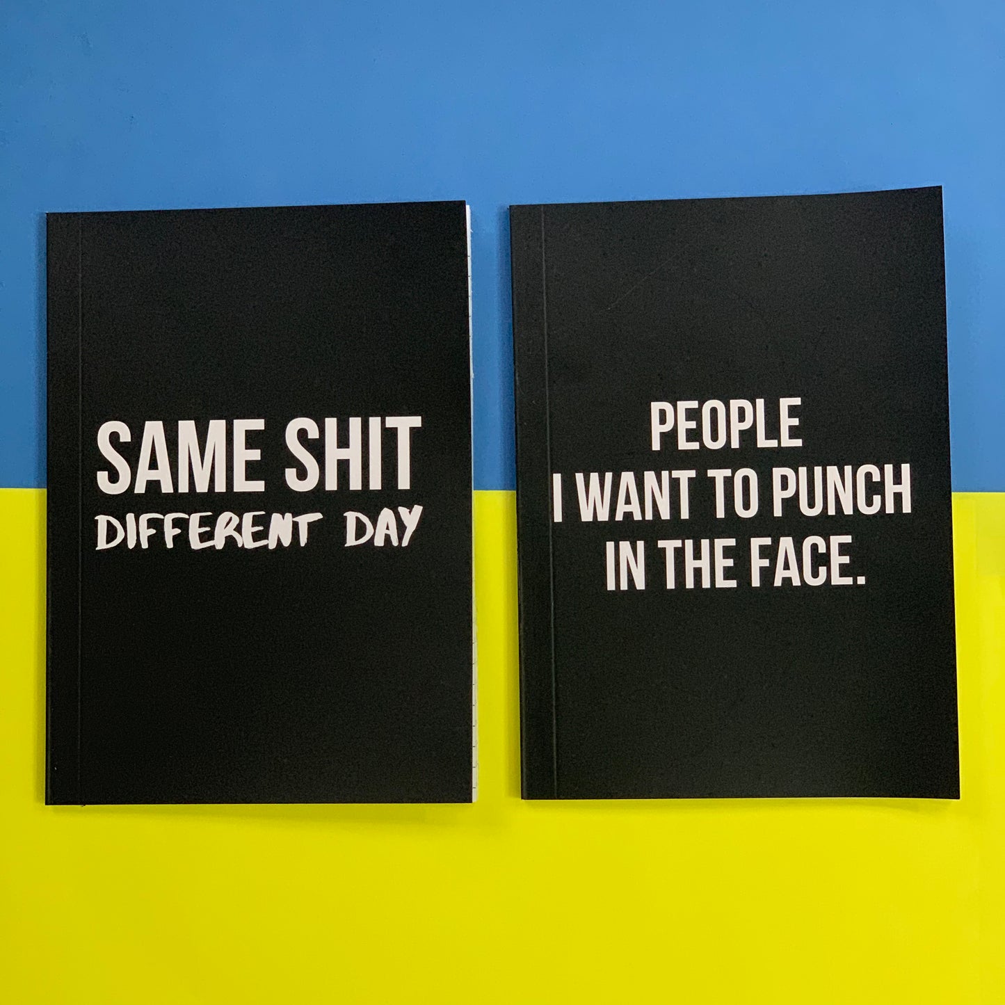 Savage Diaries | Ruled Notebooks | Work Notebooks | Funny Gag Gift